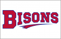 Buffalo Bisons 2013-Pres Jersey Logo Print Decal