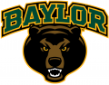 Baylor Bears 2005-2018 Alternate Logo 04 Print Decal