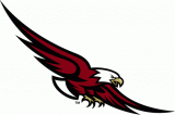 Boston College Eagles 2001-Pres Alternate Logo Print Decal