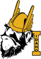 Idaho Vandals 1966-1972 Primary Logo Iron On Transfer