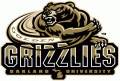 Oakland Golden Grizzlies 2002-2011 Secondary Logo Iron On Transfer