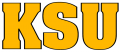 Kennesaw State Owls 2000-2011 Wordmark Logo 02 Iron On Transfer