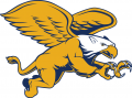 Canisius Golden Griffins 2006-Pres Secondary Logo 02 Print Decal