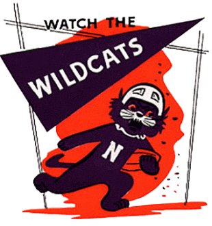 Northwestern Wildcats 1967-1977 Alternate Logo Iron On Transfer