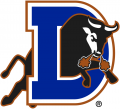 Durham Bulls 1998-Pres Primary Logo Print Decal