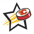 Calgary Flames Hockey Goal Star logo Print Decal