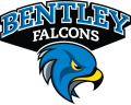 Bentley Falcons 2013-Pres Alternate Logo 02 Print Decal