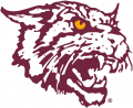 Bethune-Cookman Wildcats 2000-2015 Alternate Logo 01 Print Decal