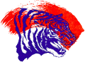 Savannah State Tigers 2001-2011 Primary Logo Iron On Transfer