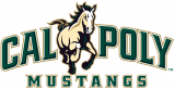 Cal Poly Mustangs 2007-Pres Primary Logo Iron On Transfer