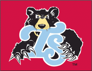 Tennessee Smokies 2010-2014 Cap Logo 2 Print Decal
