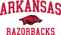 Arkansas Razorbacks 2009-2013 Alternate Logo Print Decal