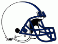 Penn State Nittany Lions 1987-Pres Helmet Print Decal