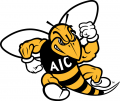 AIC Yellow Jackets 2009-Pres Primary Logo Iron On Transfer