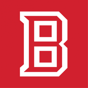 Bradley Braves 2012-Pres Alt on Dark Logo Print Decal