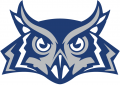 Rice Owls 2010-2016 Alternate Logo Iron On Transfer