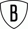 Brooklyn Nets 2012 13-2013 14 Alternate Logo 1 Print Decal
