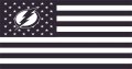 tampa bay lightning Flag001 logo Print Decal