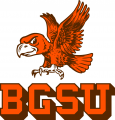 Bowling Green Falcons 1966-1979 Primary Logo Iron On Transfer