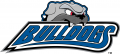 North CarolinaAsheville Bulldogs 1998-Pres Alternate Logo 02 Iron On Transfer