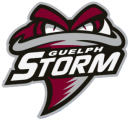 Guelph Storm 2018 19-Pres Alternate Logo Iron On Transfer