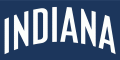 Indiana Pacers 2005-2006 Pres Wordmark Logo 03 Print Decal