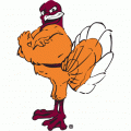Virginia Tech Hokies 2000-Pres Mascot Logo Print Decal