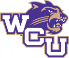 Western Carolina Catamounts 1996-2007 Alternate Logo 08 Iron On Transfer