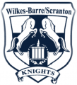 Wilkes-BarreScranton Knights 2015 16-Pres Primary Logo Print Decal