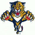 Florida Panthers 1999 00-2015 16 Primary Logo Print Decal