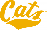 Montana State Bobcats 1982-2012 Wordmark Logo Print Decal