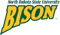 North Dakota State Bison 2005-2011 Wordmark Logo 01 Print Decal