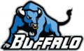 Buffalo Bulls 2007-2015 Secondary Logo Print Decal
