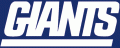 New York Giants 1976-1999 Alternate Logo Print Decal