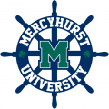 Mercyhurst Lakers 2012-Pres Alternate Logo 02 Iron On Transfer