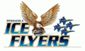 Pensacola Ice Flyers 2009 10-2011 12 Primary Logo Print Decal