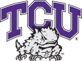 TCU Horned Frogs 1995-Pres Primary Logo Print Decal