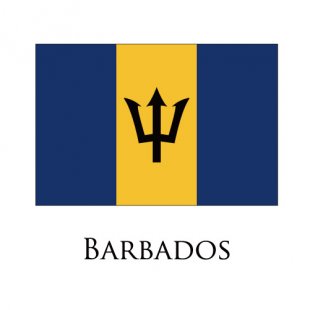 Barbados flag logo Iron On Transfer