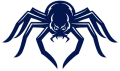 Richmond Spiders 2002-Pres Alternate Logo 07 Print Decal