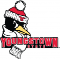 Youngstown State Penguins 2006-Pres Secondary Logo Iron On Transfer