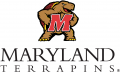 Maryland Terrapins 2001-Pres Alternate Logo 03 Iron On Transfer