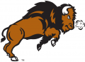 North Dakota State Bison 2005-2011 Secondary Logo 02 Print Decal