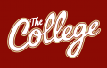 College of Charleston Cougars 2013-Pres Wordmark Logo 06 Iron On Transfer