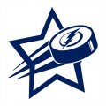 tampa bay lightning Hockey Goal Star logo Iron On Transfer