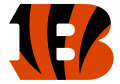 Cincinnati Bengals 2021-Pres Primary Logo Iron On Transfer