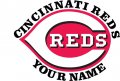 Cincinnati Reds Customized Logo Print Decal