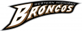 Western Michigan Broncos 1998-2015 Wordmark Logo Print Decal