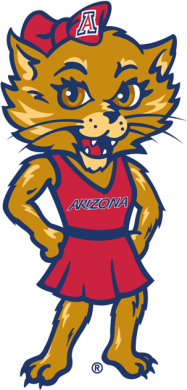 Arizona Wildcats 2003-2012 Mascot Logo 03 Iron On Transfer