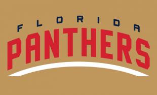 Florida Panthers 2016 17-Pres Wordmark Logo 04 Iron On Transfer