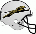 Jacksonville Jaguars 1993-1994 Unused Logo Iron On Transfer